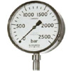 Receiver Gauges